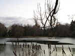 IMG_1626.jpg
