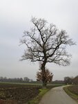 IMG_1637.jpg