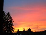 IMG_1644.jpg