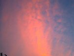 IMG_1641.jpg