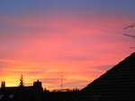 IMG_1647.jpg