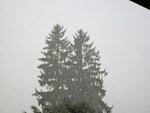 IMG_1654.jpg