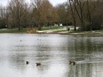 IMG_1664.jpg