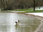 IMG_1659.jpg