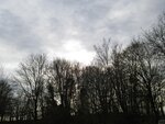 IMG_1665.jpg