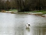 IMG_1658.jpg
