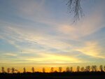 IMG_1677.jpg