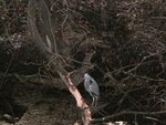 IMG_1680.jpg
