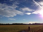IMG_0083.jpg