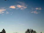 IMG_1814.jpg