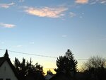 IMG_1818.jpg