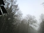 IMG_1838.jpg