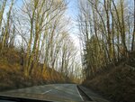 IMG_1849.jpg
