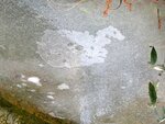 IMG_1885.jpg