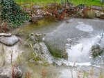 IMG_1891.jpg