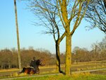 IMG_1940.jpg