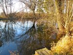IMG_1959.jpg