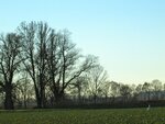 IMG_1962.jpg
