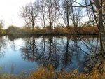 IMG_1950.jpg