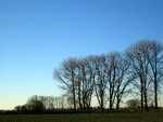 IMG_1961.jpg