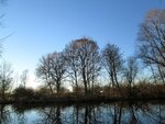 IMG_1954.jpg