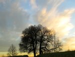 IMG_1983.jpg