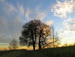 IMG_1984.jpg