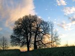 IMG_1990.jpg