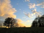 IMG_1991.jpg