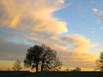 IMG_1992.jpg