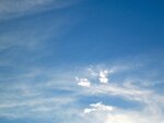 IMG_1968.jpg