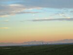 IMG_1980.jpg