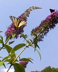 Foto0214_001.jpg