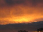 IMG_2076.jpg