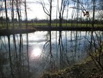 IMG_2110.jpg