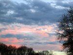 IMG_2120.jpg