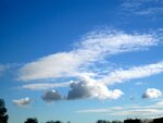 IMG_2150.jpg