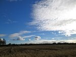 IMG_2149.jpg