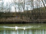 IMG_2134.jpg