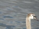 IMG_2141.jpg
