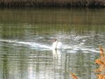 IMG_2136.jpg
