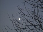 IMG_2159.jpg