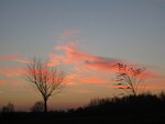 IMG_2155.jpg