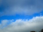 IMG_2165.jpg