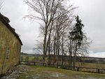 IMG_2169.jpg
