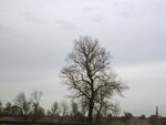 IMG_2182.jpg