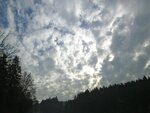 IMG_2329.jpg