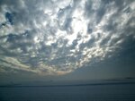 IMG_2332.jpg