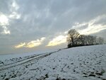 IMG_2355.jpg