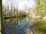 IMG_2539.jpg
